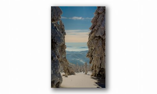 OBRAZ NA PŁÓTNIE PROSTOKĄTNY - Zima na Arena.pl