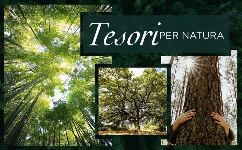 Tesori D`oriente Żel Pod Prysznic Forest Ritual 25 zdjęcie 9