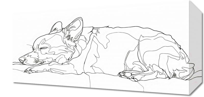 Obraz 40x20cm Śpiący Psiak zdjęcie 1