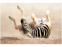 120CM 80CM OBRAZ ŚCIENNY ZEBRA