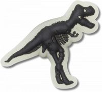 Przypinka Crocs Jibbitz Pin Do Butów Glow In The Dark Dino