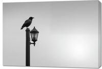 Obraz 100x70cm Samotny Postój Kruka