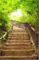 product-compare-58710182