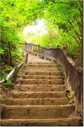 100 70CM OBRAZ PŁÓTNO SCHODAMI GÓRĘ PŁÓTNO RAMA na Arena.pl