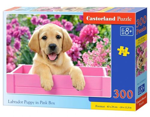 Puzzle 300 Elementów Labrador W Pudełku na Arena.pl
