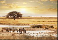 100 70CM OBRAZ PŁÓTNO SAFARI PŁÓTNO RAMA