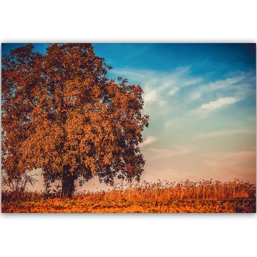 Deco Panel, Drzewo jesienią 120x80 na Arena.pl