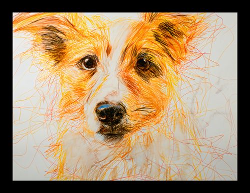 Plakat 20x15cm Uroczy Gość na Arena.pl