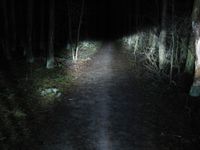 Żarówka LED biała H4 HS1 12V Yamaha Honda BMW Suzuki Harley krótkie długie