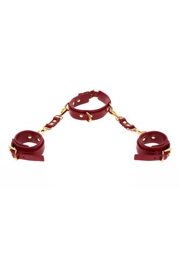 D-Ring Collar and Wrist Cuffs Red na Arena.pl