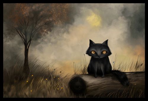 Plakat 45x30cm Czarny Kot na Arena.pl