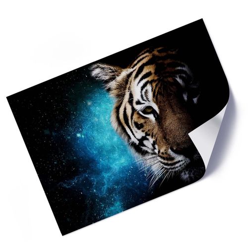 Plakat, Tygrys i kosmos 100x70 na Arena.pl