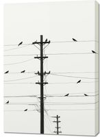 Obraz 70x100cm Symfonia na Drutach