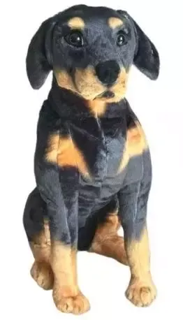 Rotweilleri siedzący 65cm zdjęcie 1