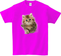 Koszulka T-shirt Koty