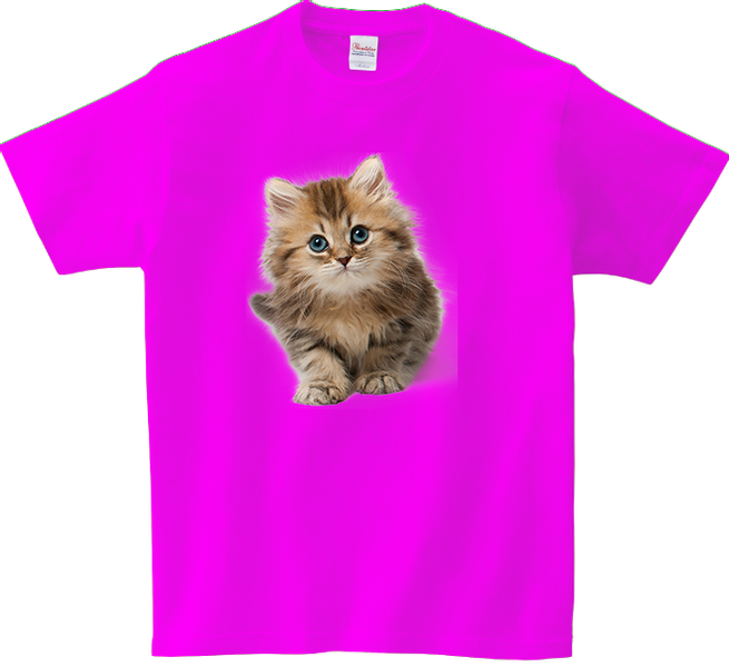 Koszulka T-shirt Koty zdjęcie 1