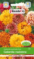 NASIONA Kwiatów Gailardia Nadobra Mieszanka MIX 0,5g Kwiaty 411425