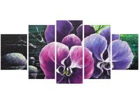 product-compare-58704262