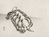 Plakat 40x30cm Turtle, Kōno Bairei Japoński Vintage do Salonu