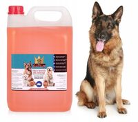 Olej z Łososia dla psa i kota 100% łosos GoldDog 5l