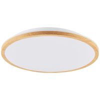 Oprawa sufitowa plafon Woody 319012 LED 24W 4000K biały