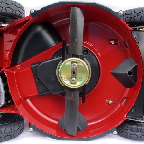 TORO 22293 na Arena.pl