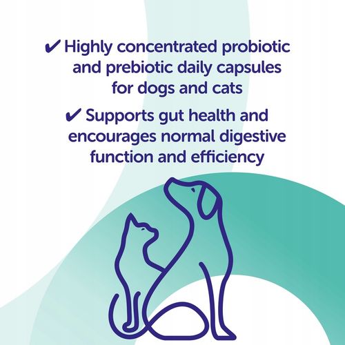 Protexin Synbiotic D-C Pies/Kot 50 kaps Probiotyk,Prebiotyk na Arena.pl