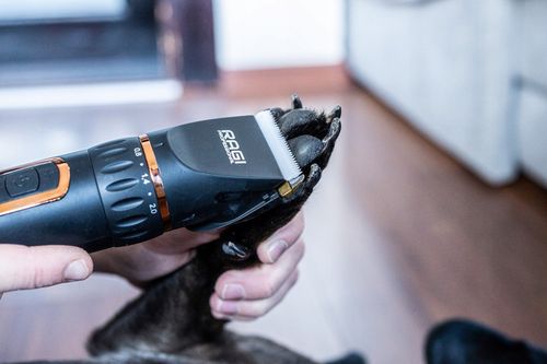 MASZYNKA DO STRZYŻENIA PSÓW PSA KOTA RAGI PROFESJONALNA CICHA BEZPRZEWODOWA na Arena.pl