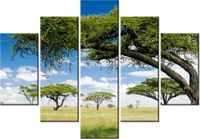 product-compare-58696874