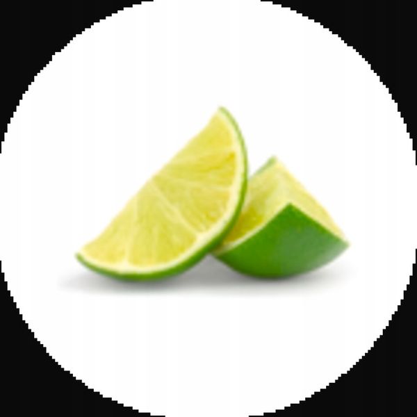 Wyciskarka do Cytrusów SCP600 THE CITRUS PRESS zdjęcie 5