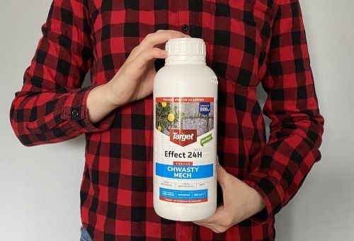 EFFECT 24H 680 EC 1000 ML ZWALCZA CHWASTY MECH zdjęcie 4