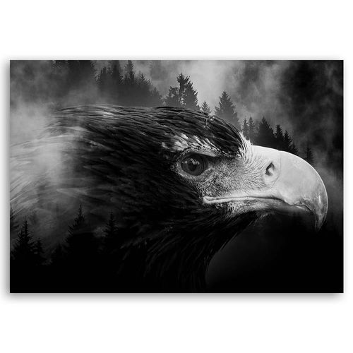 Obraz na płótnie – Canvas, Dziób ptaka 70x50 na Arena.pl