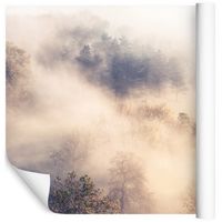 Fototapeta Las Drzewa CHMURY Mgła do Sypialni 135x90