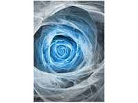 OBRAZ BLUE ROSE