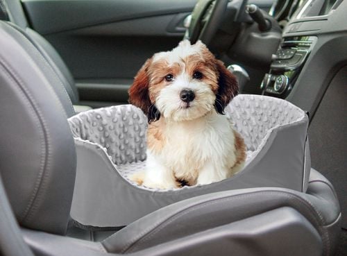 transporter samochodowy 50x40 cm minky szary na Arena.pl