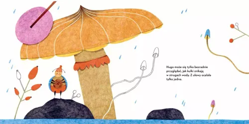 Żuk Hugo na Arena.pl