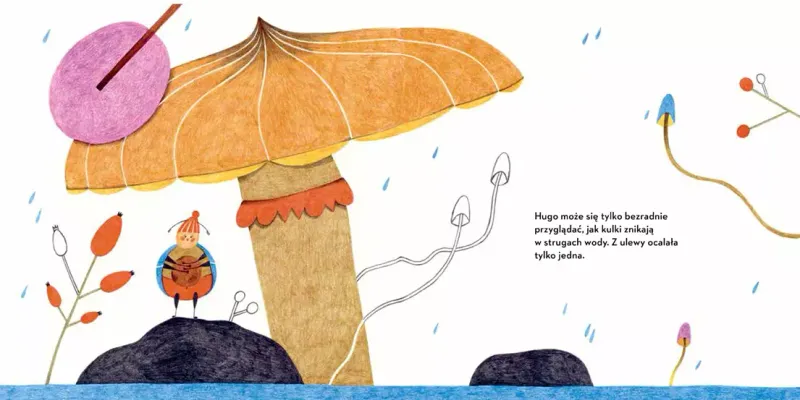 Żuk Hugo zdjęcie 2