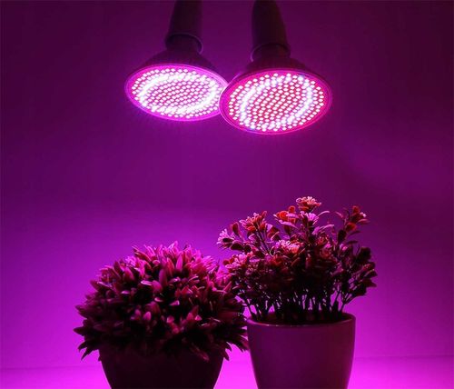 LAMPA Z ŻARÓWKA E27 DO WZROSTU UPRAWY ROŚLIN PANEL FULL SPECTRUM 20W 200LED na Arena.pl