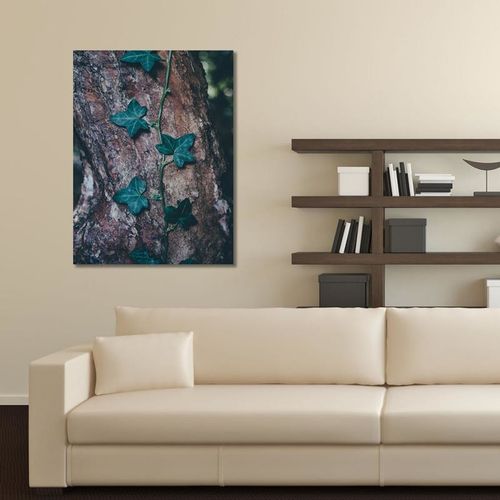 Deco Panel, Bluszcz na pniu 60x80 na Arena.pl