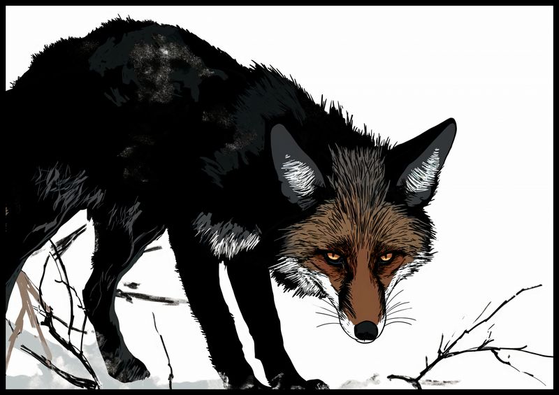 Plakat 100x70cm Nieufny Lis zdjęcie 2