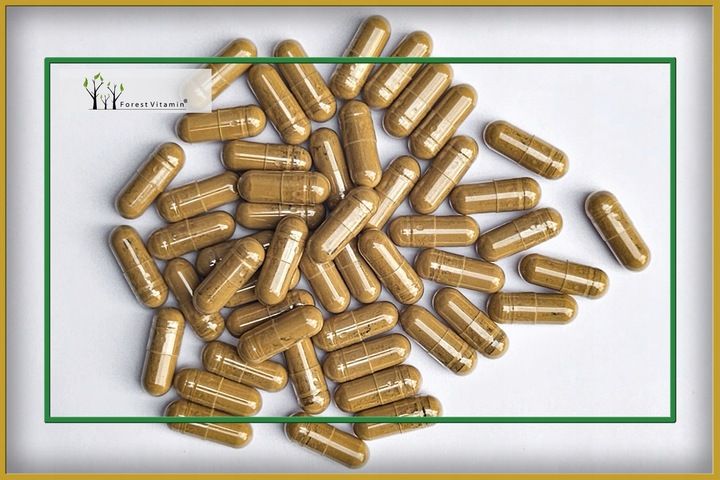 Soplówka Jeżowata 500mg 60kap LION'S MANE PAMIĘĆ MÓZG KONCENTRACJA zdjęcie 2