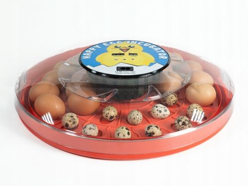 INKUBATOR AUTOMATYCZNY klujnik wylęgarka na 30 jaj na Arena.pl