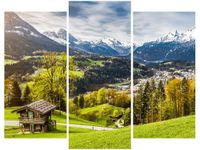 product-compare-58672645