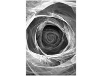 product-compare-58650268