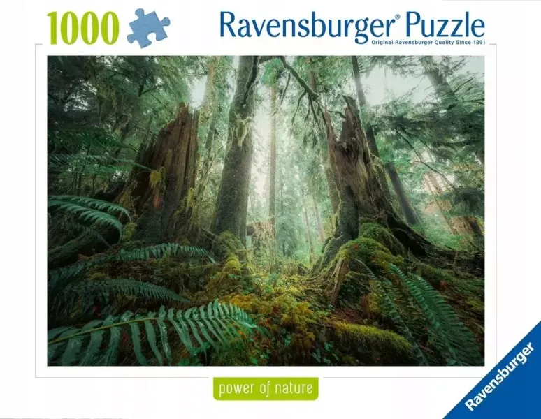 Puzzle 1000 Lasy zdjęcie 1