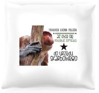 Poduszka z nosaczem - Urząd skarbowy