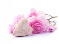 product-compare-62091287