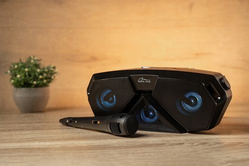 Głośnik Bluetooth MP3 radio FM mikrofon KARAOKE akumulator dla dzieci śpiew na Arena.pl