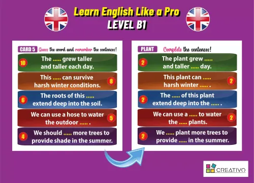 Learn English Like a Pro - Inteligentne fiszki + gra (poziom B1) na Arena.pl