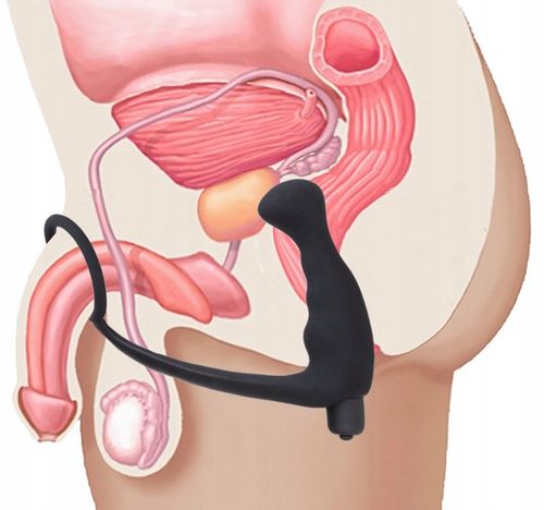 KOREK Masażer Prostaty WIBRATOR 10 Programów na Arena.pl